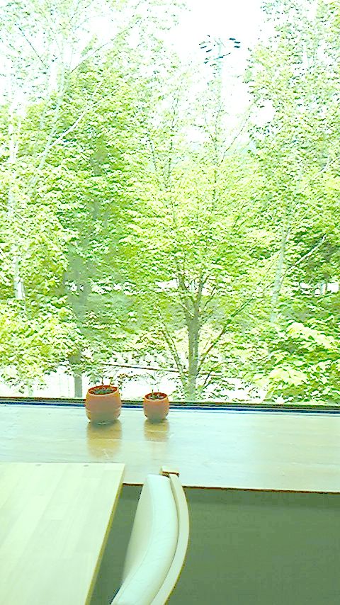 120614_110624.jpgのサムネール画像