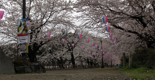 yukkulablog0407.jpg