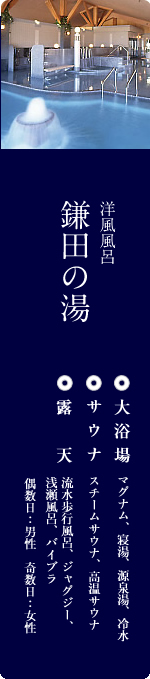 洋風風呂　鎌田の湯